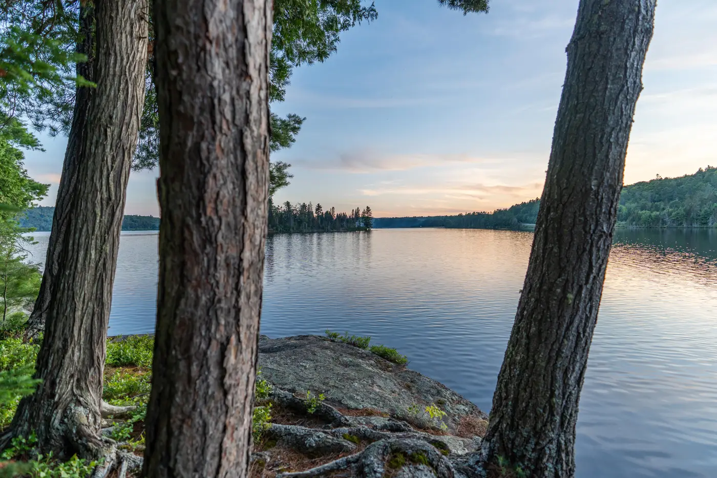 Lake of Two Rivers in Algonquin Park.