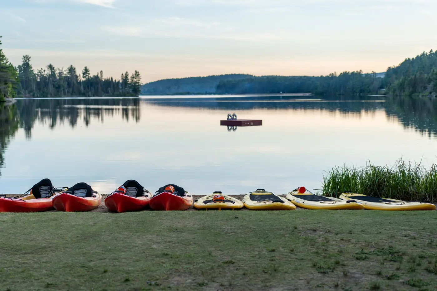Lakeshore beach furnished with paddle boards and canoes.