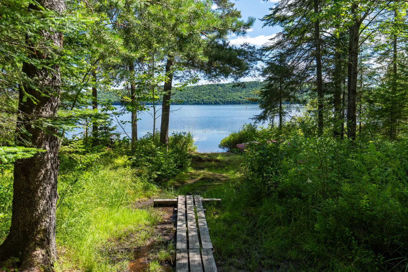 Quiet shoreline and lake edge