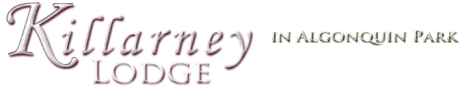 Logo Alt Lorem Ipsum