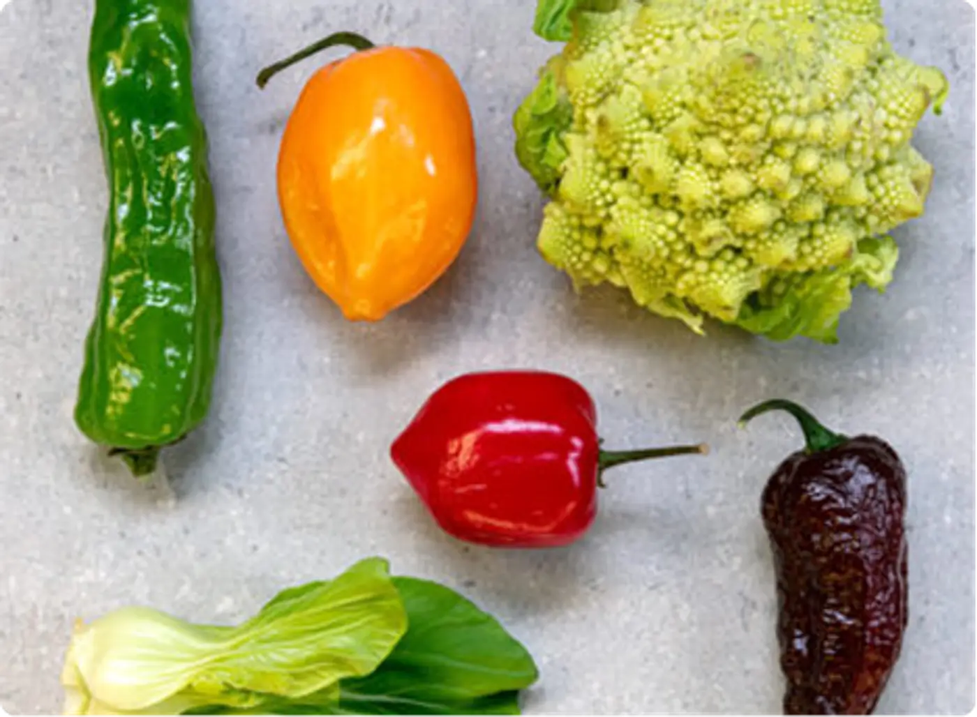 Fresh hand picked ingredients only, at Killarney Lodge in Alqonquin Park.