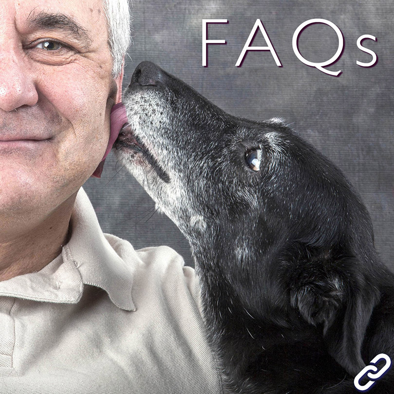 algonquin park cabins pet friendly