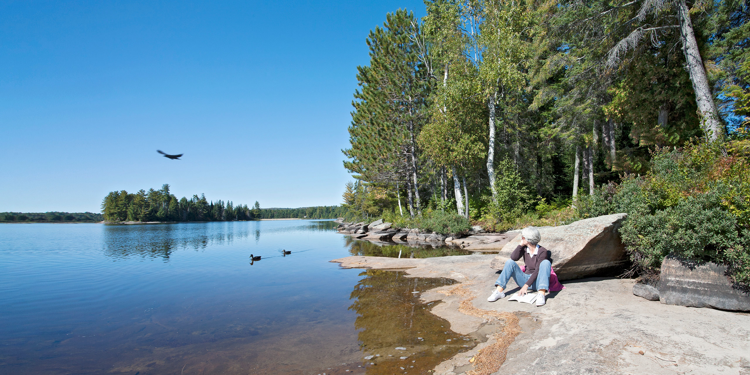 Peace on still summer day reading a book by the lake in wilderness