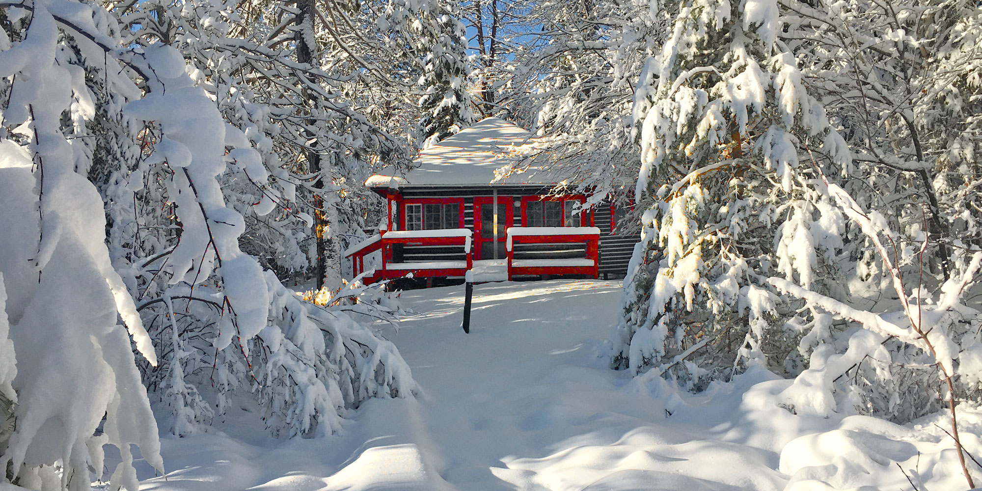 Log cabin winter scene 2020 at Killarney Lodge in Algonquin Park