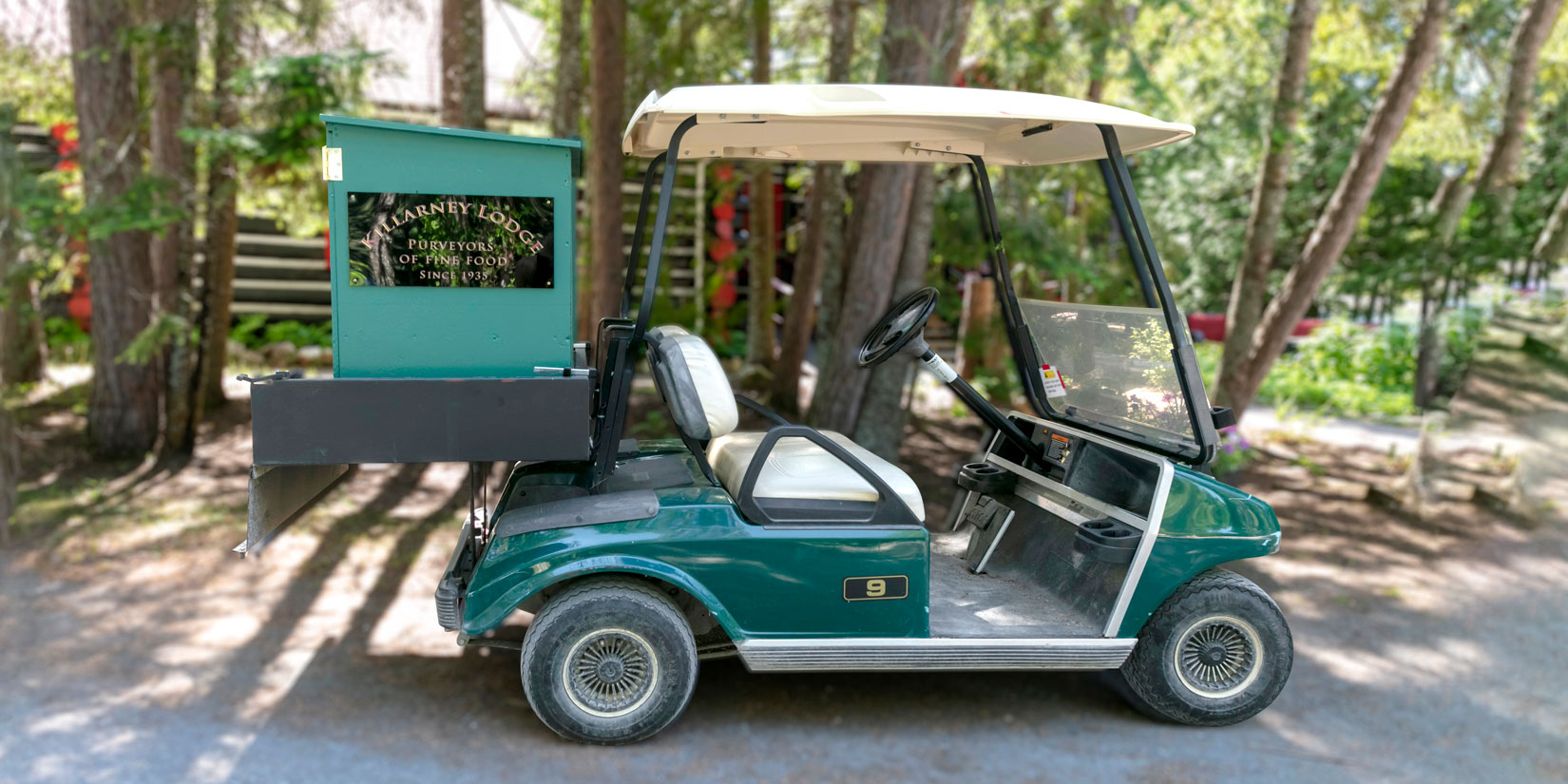 _U8A9856blurrBannerWeb