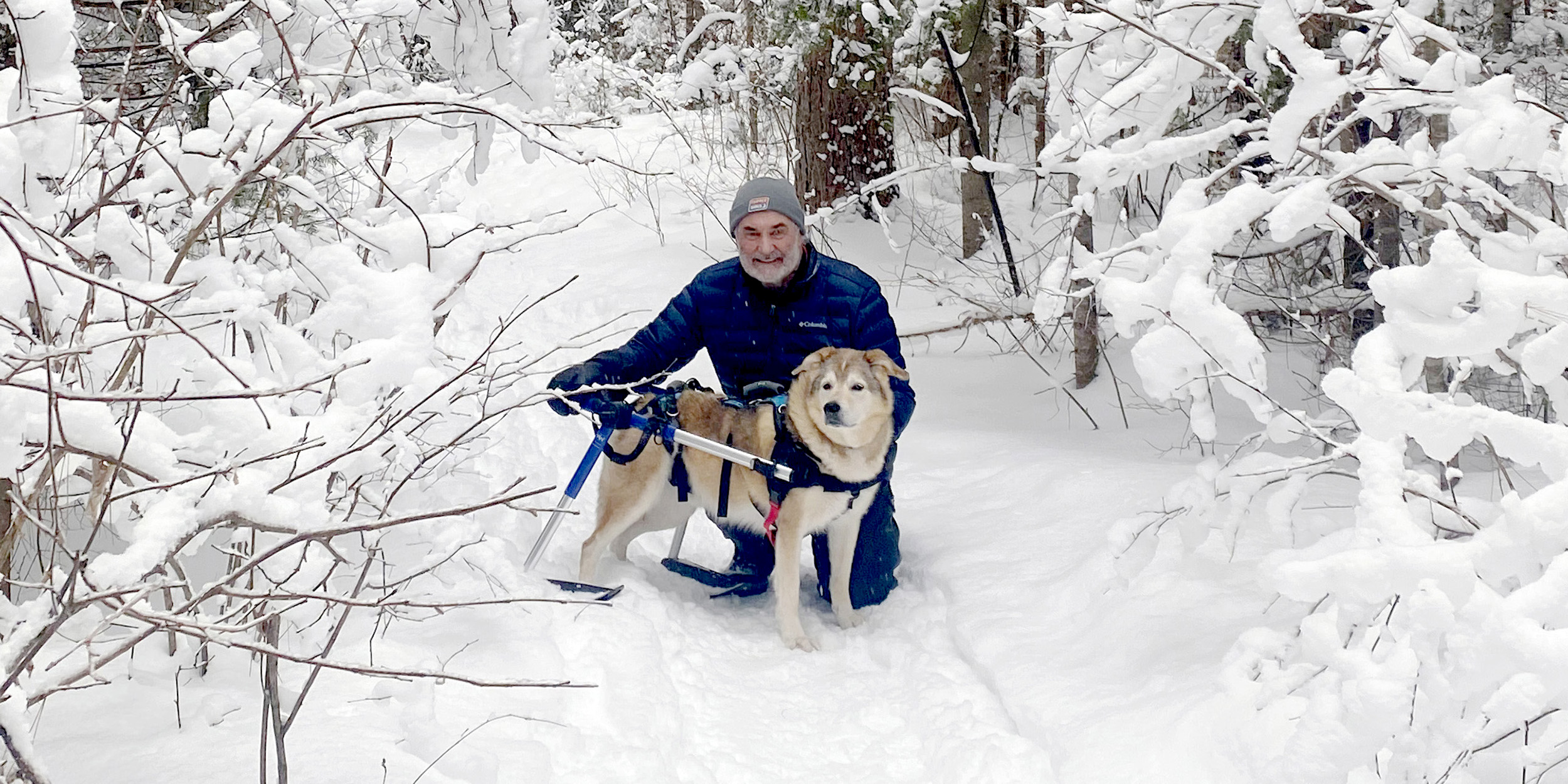 spacious log dining room at Killarney Lodge