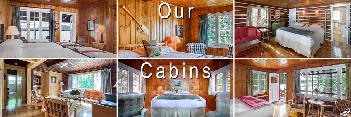 algonquin cabin accommodations link