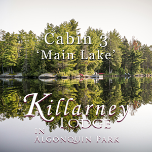 Private Canoes on a Lakeshore Cabin