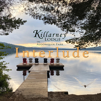 Water cruise along the shoreline of Lake of Two Rivers at Killarney Lodge