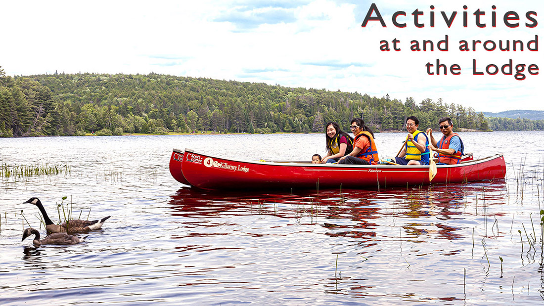 Activities at and around the Lodge