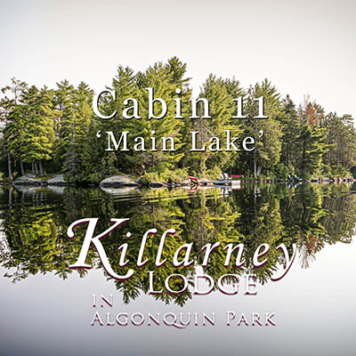 Cabin 11 at Killarney Lodge in Algonquin Park