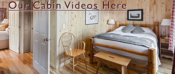 Photo tour image link